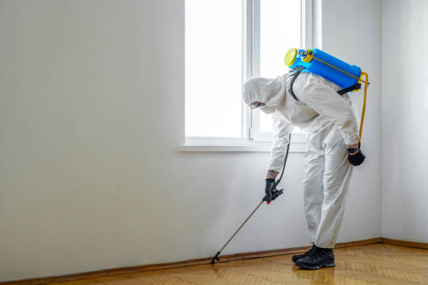 Best Residential Pest Control  in Hahira, GA